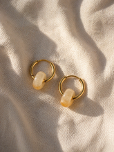 Load image into Gallery viewer, blue donuts