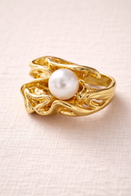 Load image into Gallery viewer, ring in the shell