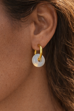 Load image into Gallery viewer, blue donuts