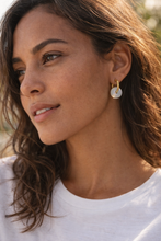 Load image into Gallery viewer, blue donuts