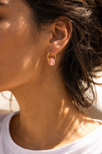 Load image into Gallery viewer, blue donuts