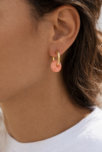 Load image into Gallery viewer, blue donuts