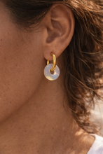 Load image into Gallery viewer, blue donuts