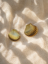 Load image into Gallery viewer, Coquillage