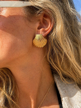 Load image into Gallery viewer, Coquillage